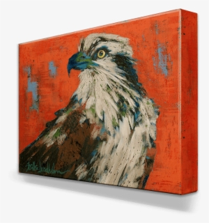 Shop - - Osprey