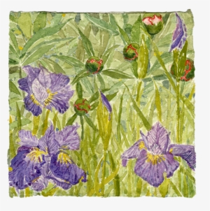 Watercolor - Bellflower