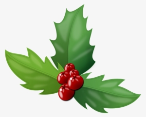The Holly Is An Evergreen Plant Baring Bright Red Berries - Holly Berries