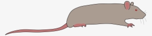 This Free Icons Png Design Of Rat By Rones