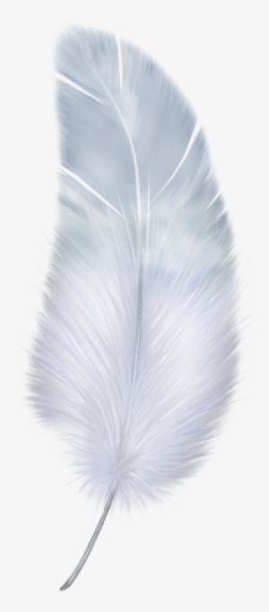 Feather Png - Portable Network Graphics