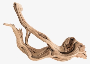 Shap Minifiss Bonsai Canada - Driftwood