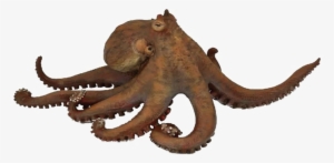 Octopus Png Transparent Picture - Octopus Papo
