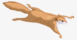 Flying Squirrel Clipart - Flying Squirrel Cartoon Png
