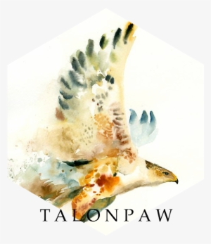 Talonpawbanner© - Hawk