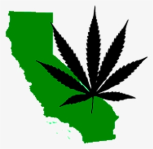 California Has No Clue How Much Money It's Making From - Pot Leaf