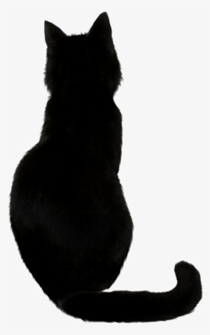 Black Cat Png Photos - Back Of A Black Cat