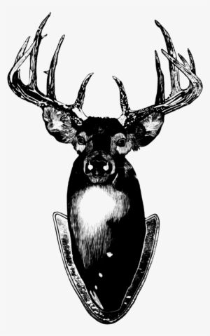 Deer - Tattly Stag Head Card & Temporary Tattoo, Only