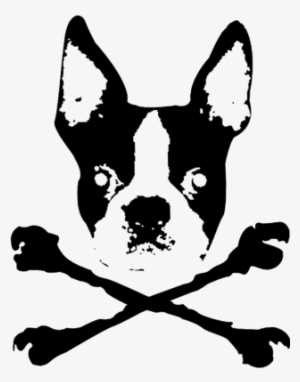Boston Bones - Boston Terrier Crossbones Rectangle Magnet