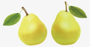Pear Png