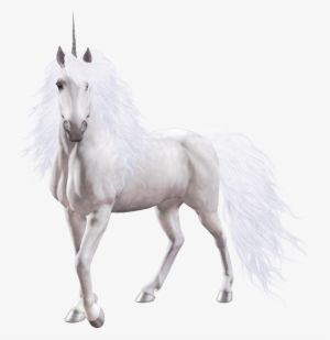 Magical History Of Unicorns (gothic Dreams)