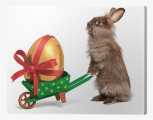 Funny Easter Rabbit With A Green Wheelbarrow And Golden - Easter Bunny With Golden Eggs