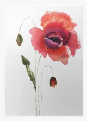Watercolor Illustration Of Red Poppy Flower Poster - Hobbitholeco 'red Tall Flowers Ii' Multicolored Canvas