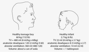 Illustration Comparing Dead Space And Tidal Volume - Infant