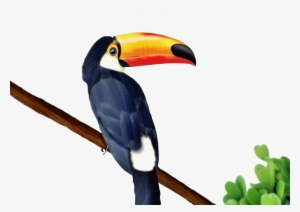 Go To Image - Toucan Png