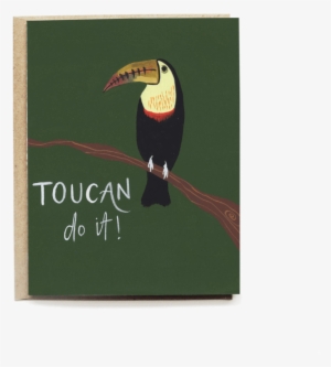 Toucan Encouragement Card - Toucan