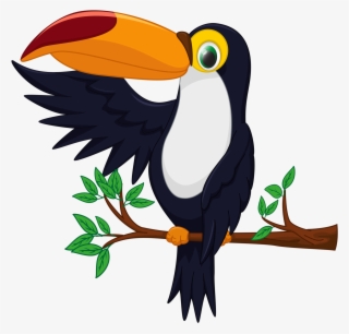 Bird Toucan Drawing - Cartoon Toucan Bird