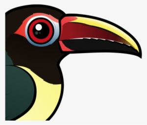 The Green Aracari Is A Toucan That Lives In Northeastern - Green Aracari