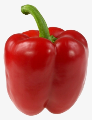 1 Egg Bell Peppers - Red Bell Pepper