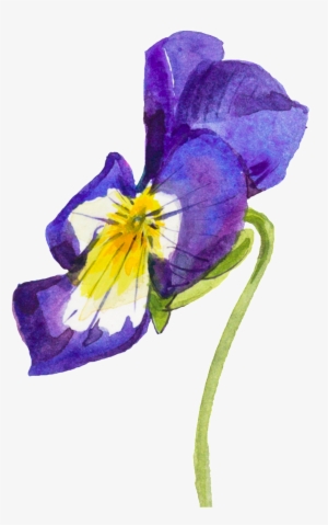 Purple Hand Painted Flowers Watercolor Transparent - Flower