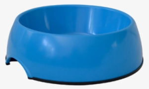Prev - Dogs Water Bowl Png
