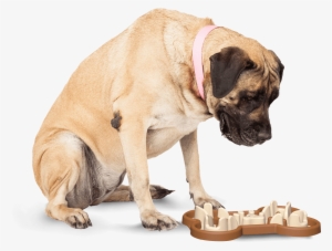 Slow Feeding Dog Bowl To Slow Eating - Dog Bowl That Slows Eating