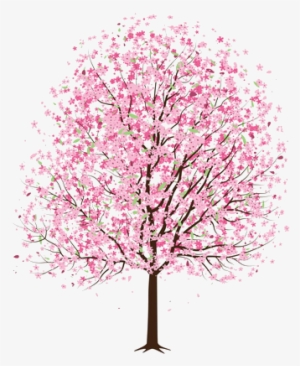 Arbol Rosa Png - Cherry Blossom Trees Transparent
