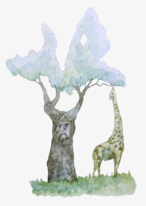 jirafa 2014 - - giraffe