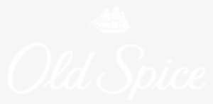 Work - Nice - Ps4 Logo White Transparent
