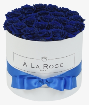 Royal Blue Roses - Rose