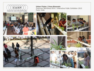 Picture4 - Collage