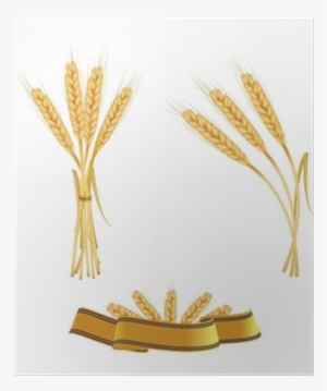 Some Ears Of Wheat And Ribbon - Motif