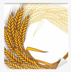 Background With Ripe Yellow Wheat Ears, Vector Illustration - Yellow Wheat Background