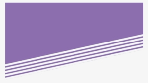 Purple Banner Top - Parallel