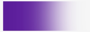 Purple Overlay - Purple