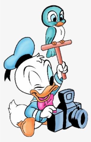 Cartoon Baby Donald Duck HD Png Download  Transparent Png Image  PNGitem