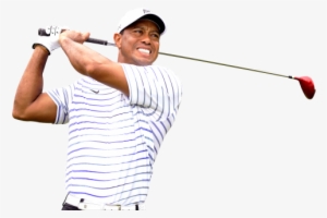 Tiger Woods Png Transparent Image - Tiger Woods Golf Png
