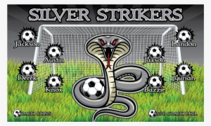 3'x5′ Vinyl Banner Silver Strikers - Decoration Vinyl Sticker Cobra Snake Reptile Decoration