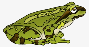 United States Clip Art By Phillip Martin - Pacific Tree Frog Clipart