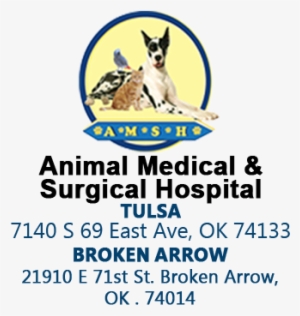 Animal Medical And Surgical Hospital