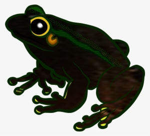 Frogs Clipart Clear Background - Frog Clip Art