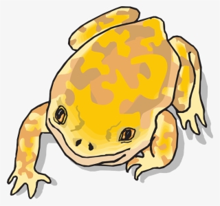 Original Png Clip Art File Yellow And Brown Frog Svg