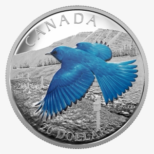 Fine Silver Coloured Coin Colourful Birds Of Canada - Mountain Bluebird