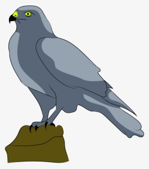 This Free Icons Png Design Of Perched Falcon