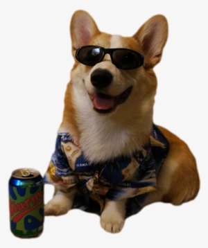 ✩transparent Slurm Dog 4 Ur Blog✩ - Transparent Dog
