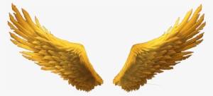 Goldenwings Goldwings Golden Gold Wings Wimg S Hi Go - Gold Wings Png