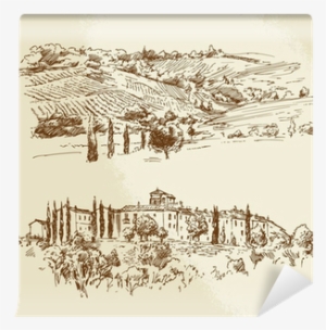 Vineyard Drawing Landscape