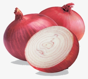 Onion Free Png Image - Transparent Background Onion Png