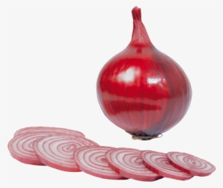 Free Png Onion Png Images Transparent - البصل Png