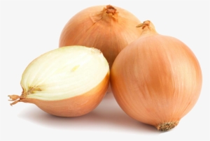 Onion Family